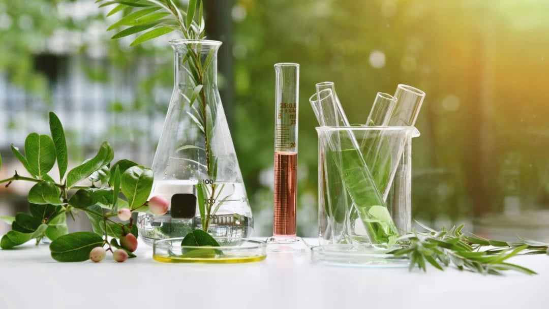 The Inorganic Natural